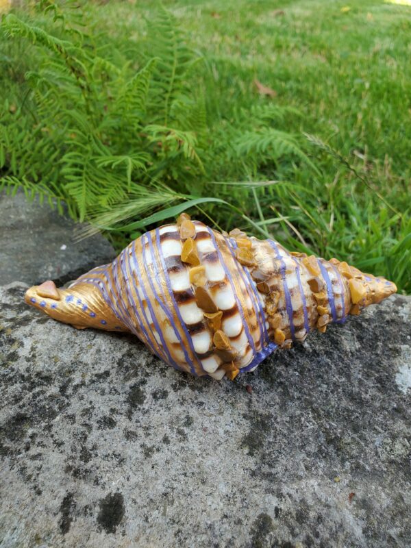 Coquillage en Jaspe Paysage – Image 7