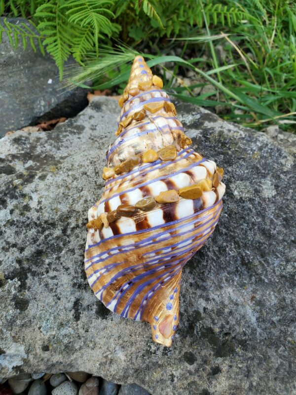 Coquillage en Jaspe Paysage – Image 2