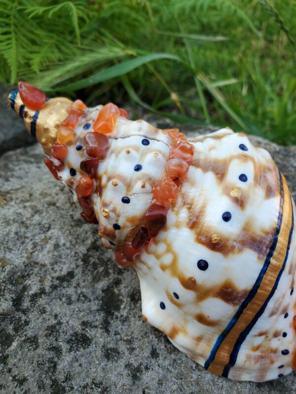 Coquillage en Cornaline – Image 2