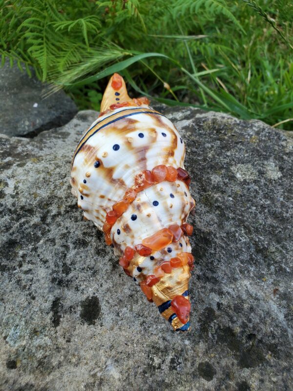 Coquillage en Cornaline – Image 3