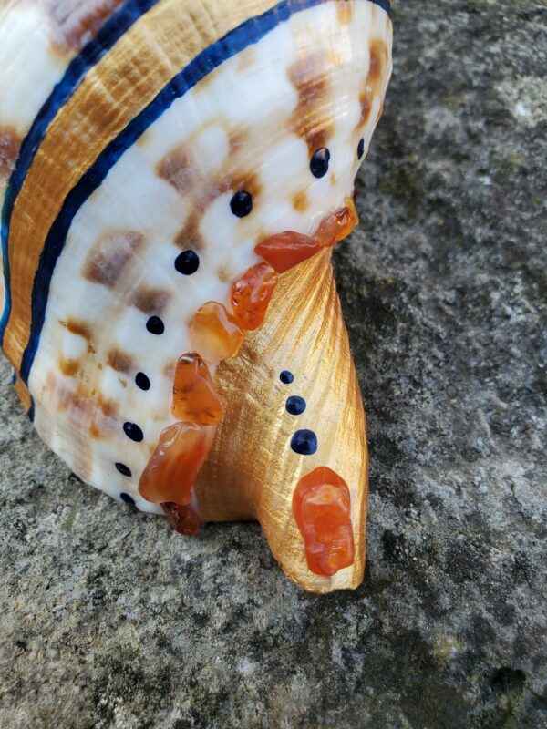 Coquillage en Cornaline – Image 5