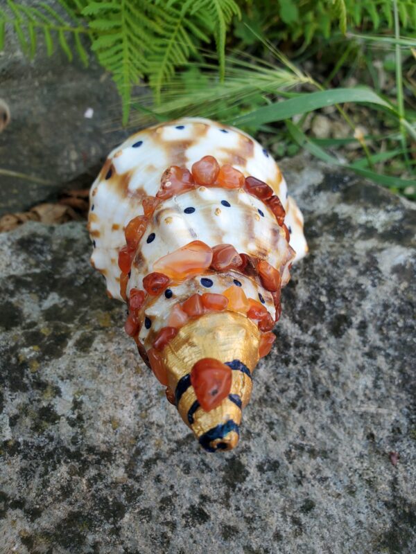 Coquillage en Cornaline – Image 6