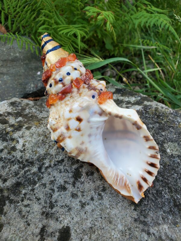 Coquillage en Cornaline – Image 7