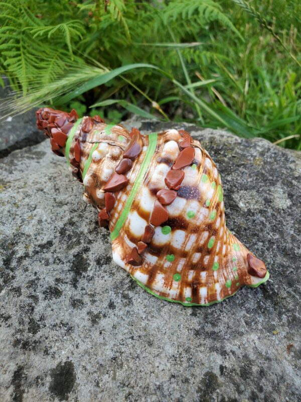 Coquillage en Jaspe Rouge