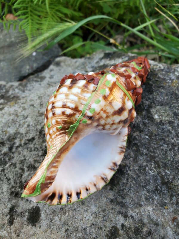 Coquillage en Jaspe Rouge – Image 4