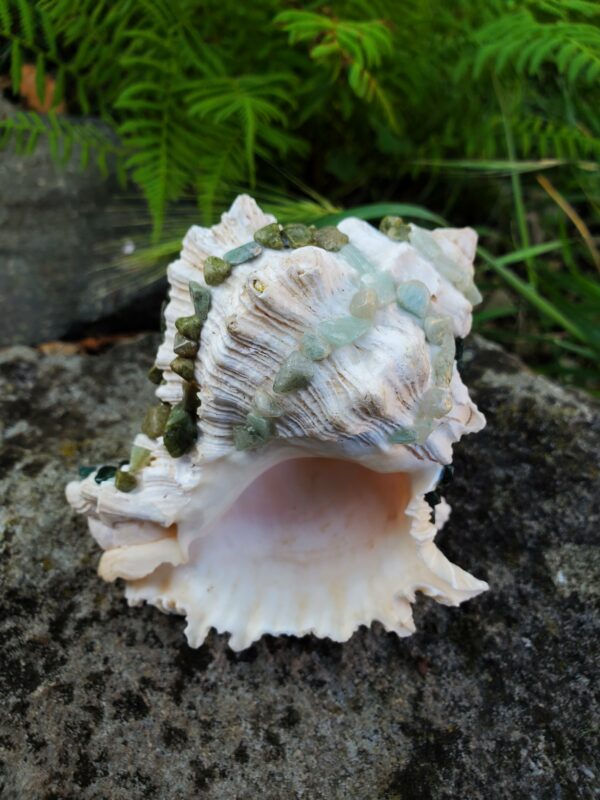 Coquillage à 3 pierres – Image 4