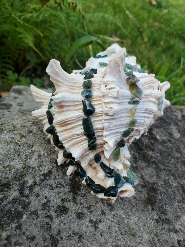 Coquillage à 3 pierres – Image 5