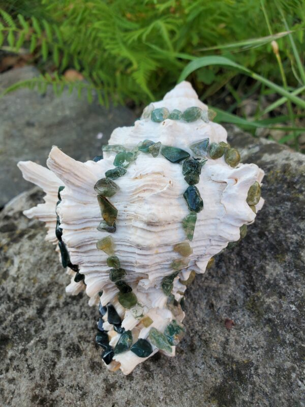 Coquillage à 3 pierres – Image 6