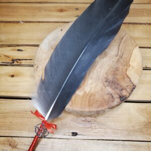 Plume de cigogne
