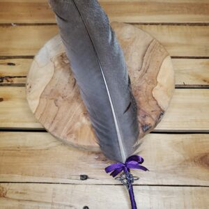 Plume de rapace