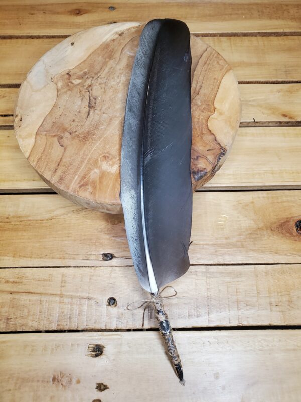 Plume de cigogne