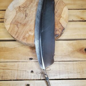 Plume de cigogne