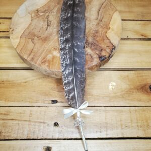 Plume de rapace
