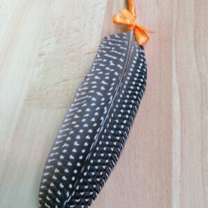 Plume de paon