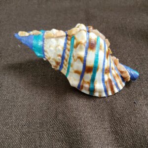 Coquillage en Jaspe jaune