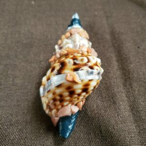 Coquillage en Jaspe rose