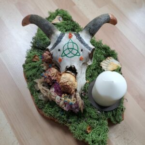 Crâne de bélier d'Irlande