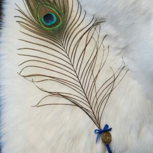 plume de paon