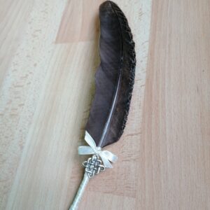 plume de paon