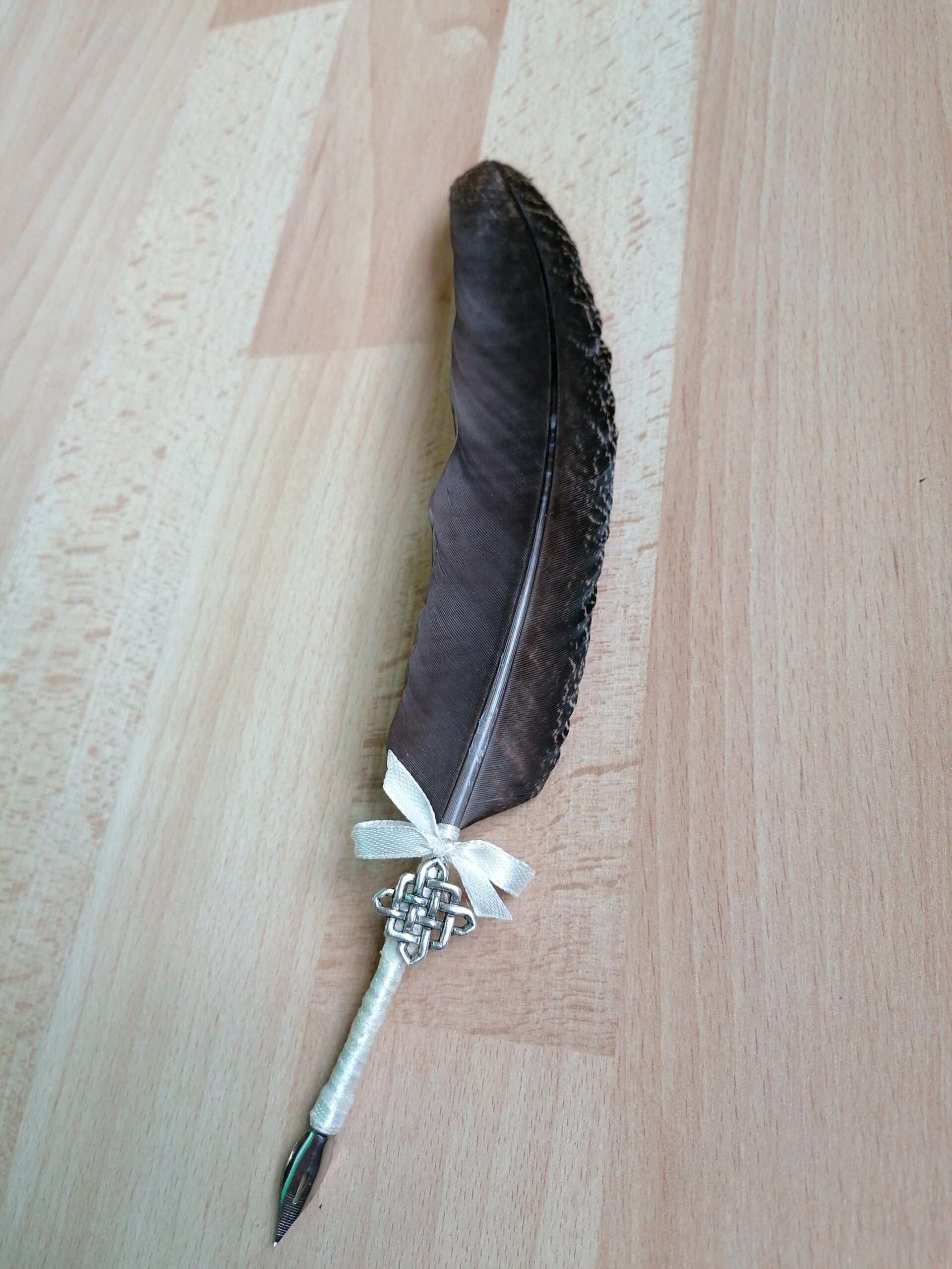 plume de paon