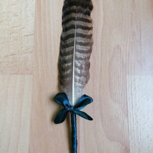 plume de rapace