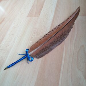 Plume de paon