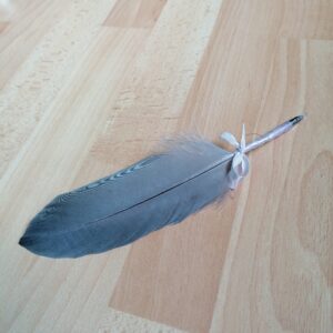 plume de héron